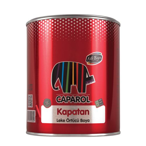 Filli Caparol Kapatan Leke Örtücü Boya 0,75Lt